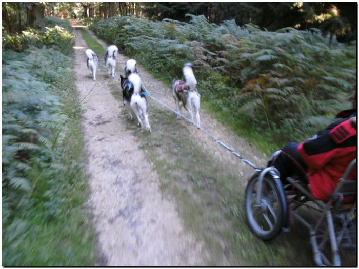 Tour Odenwald 046.jpg